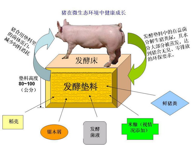发酵床养猪技术原理 发酵床示意图