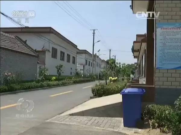 垃圾收集分类