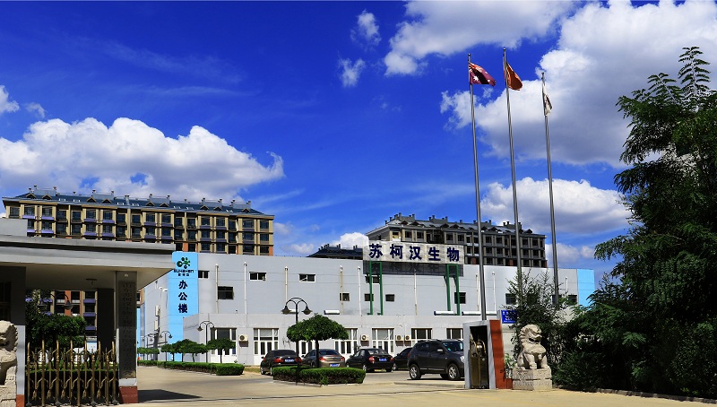 苏柯汉图片20160921.jpg