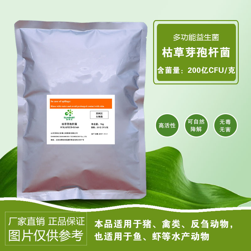 枯草芽孢杆菌.jpg
