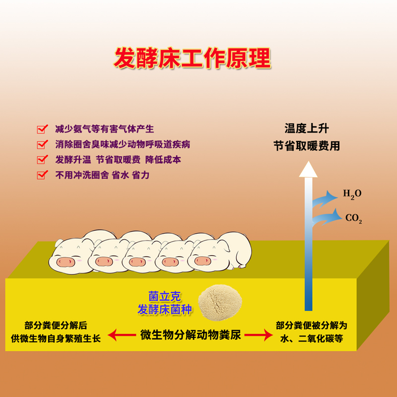 发酵床菌种